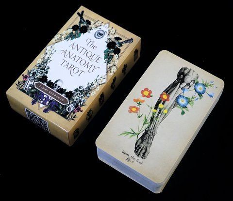 Карти Таро Античної Анатомії (Antique Anatomy Tarot) 9420067 фото
