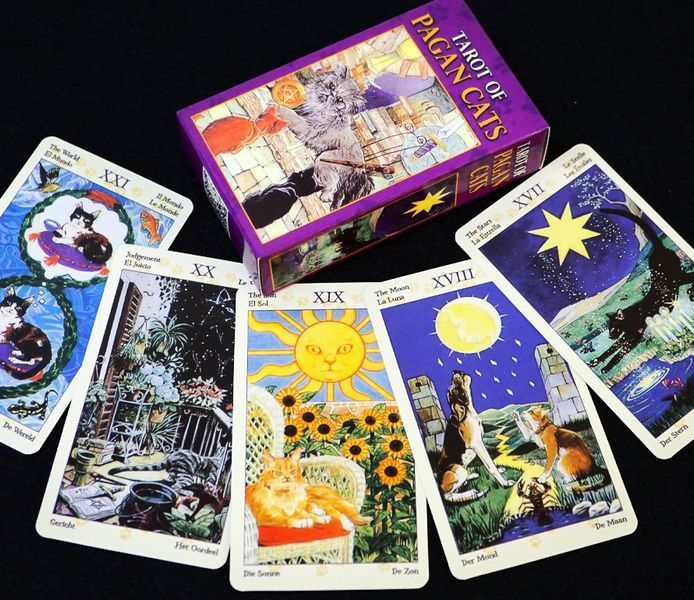 Карти Таро Язичницьких кішок (Tarot of Pagan Cats) 9420162 фото