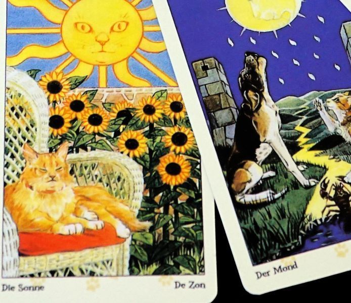 Карти Таро Язичницьких кішок (Tarot of Pagan Cats) 9420162 фото