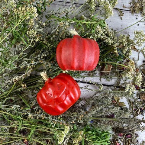 Воскова червона свічка - Гарбуз pumpk фото