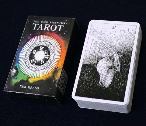 Таро Дике Невідоме Кім Кранс (The Wild Unknown Tarot) 9420160 фото